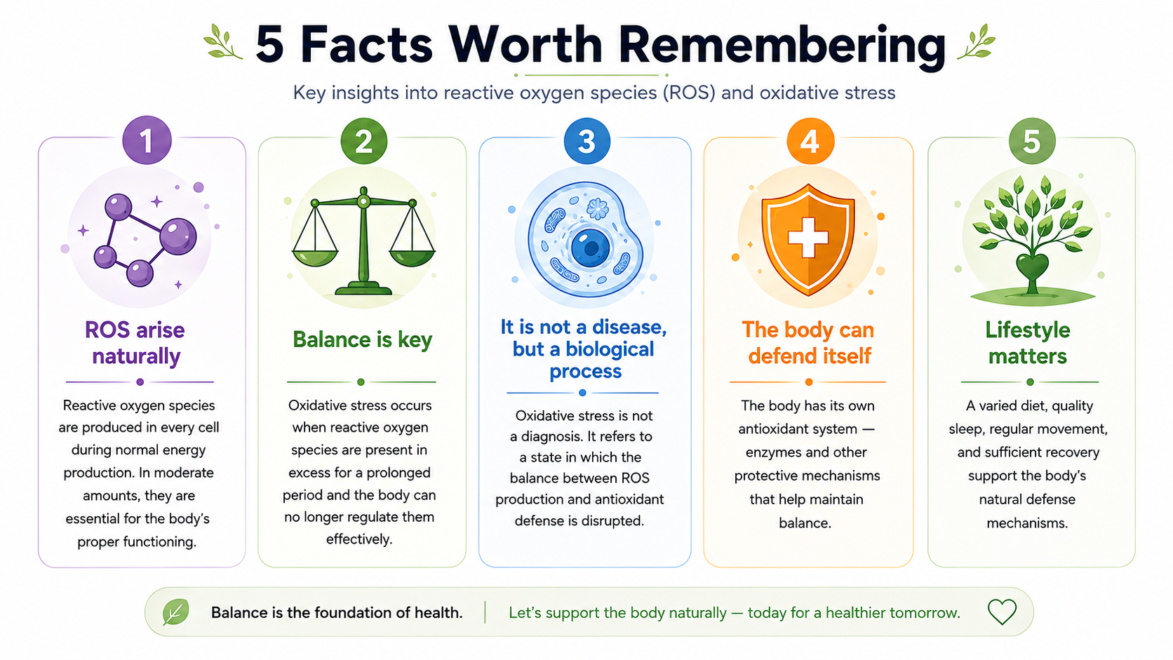 5 facts about oxidative stress